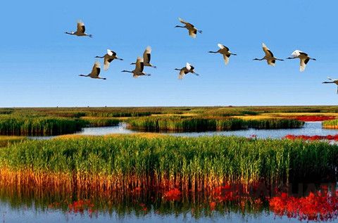 華全發(fā)電機(jī)：接地氣！大濰坊一言不合又?jǐn)€了個(gè)全省 