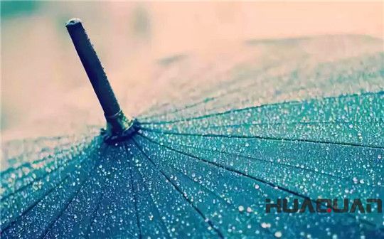 五月的雨，灑遍濰坊，鮮活了一座城，清新了城里的華全人